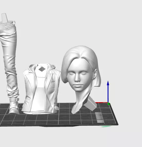 Grace in parts 3D print model