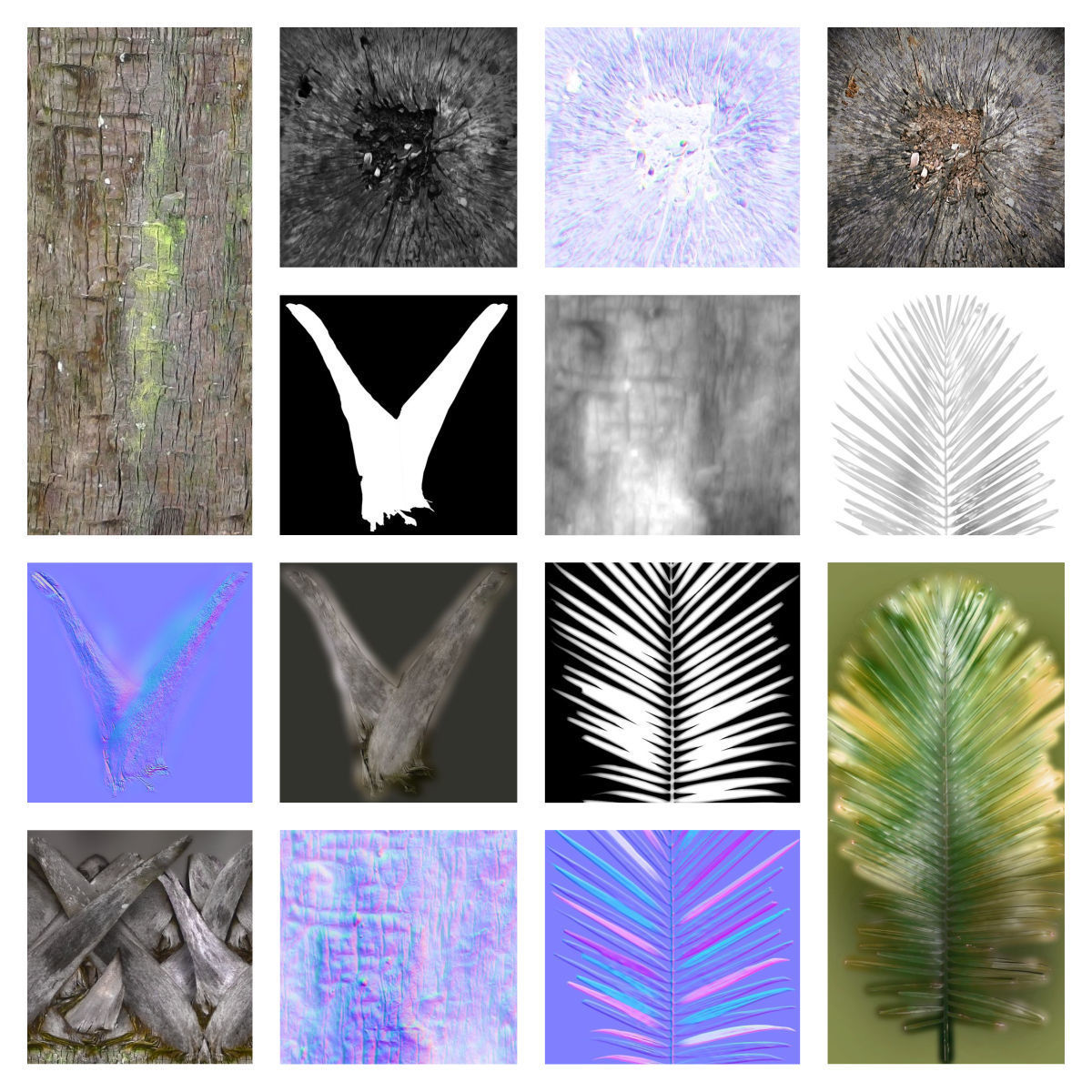 Palm -00007 Low-poly 3D model_4