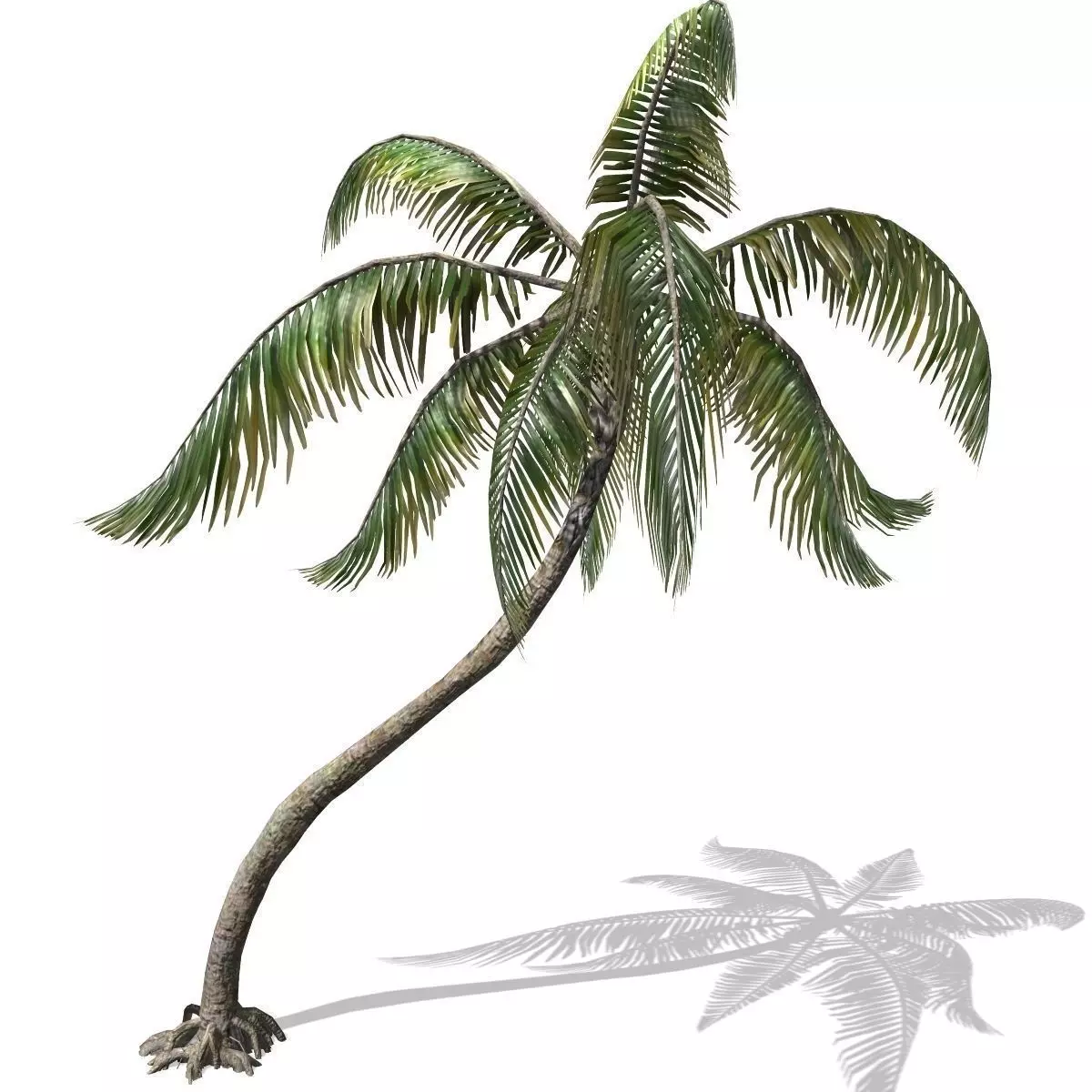 Palm -00007 Low-poly 3D model_0