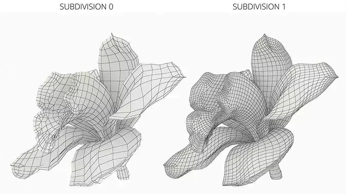 Natural Vanilla Blossom for Extraction 3D model 6