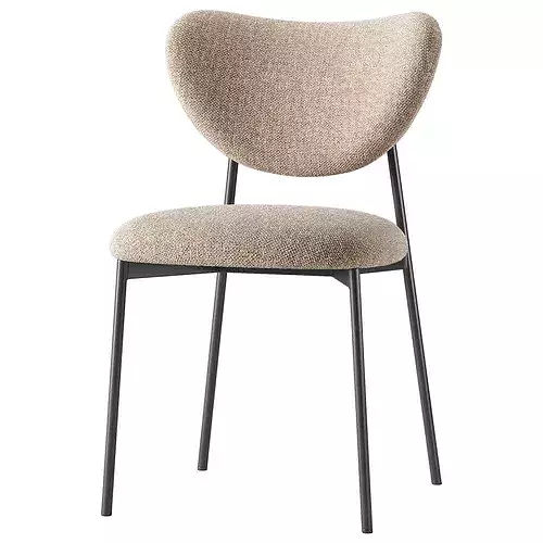 Tegu Chair 3D model 2