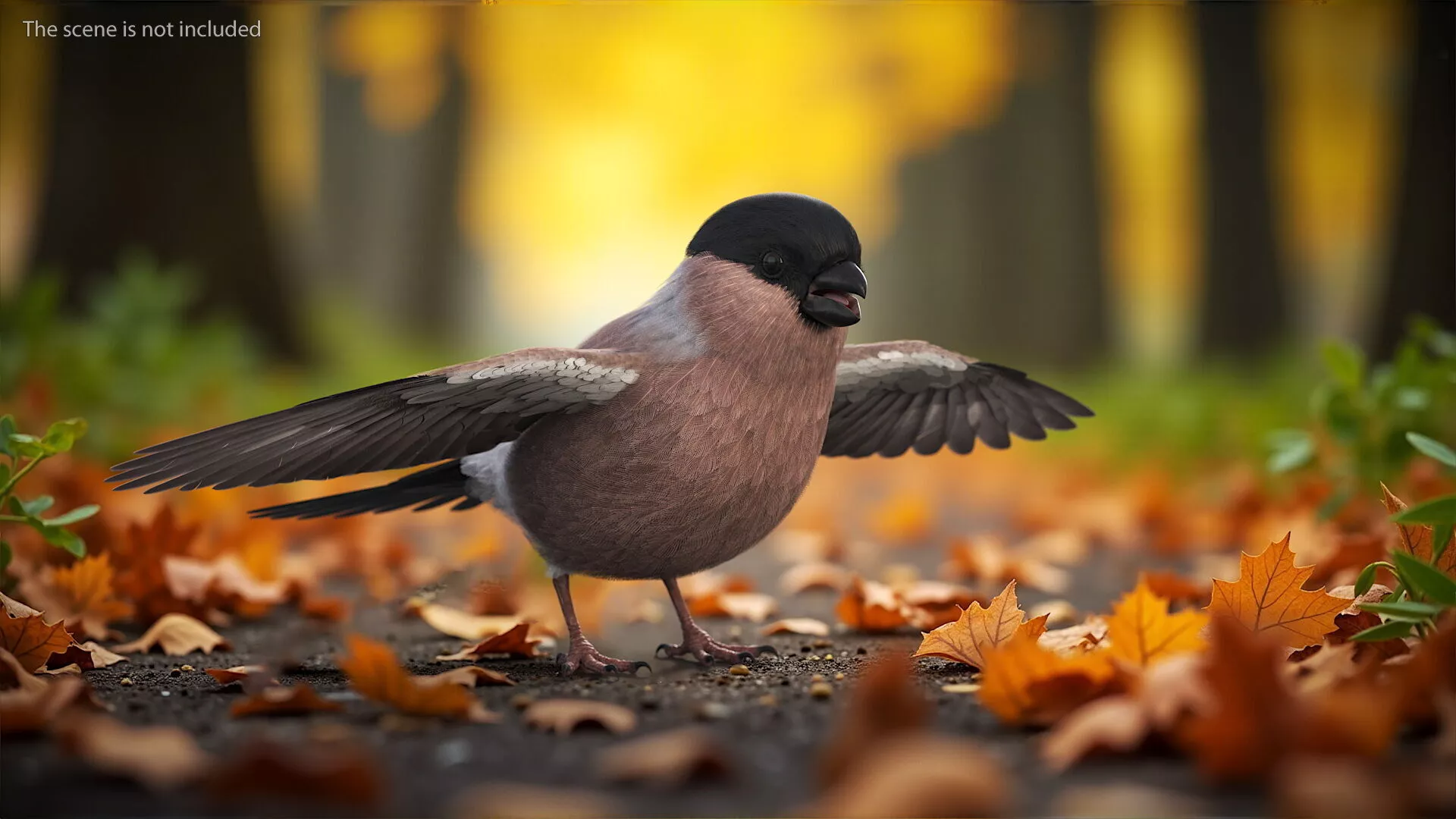 Bullfinch Female Bird Rigged for Maya 3D model