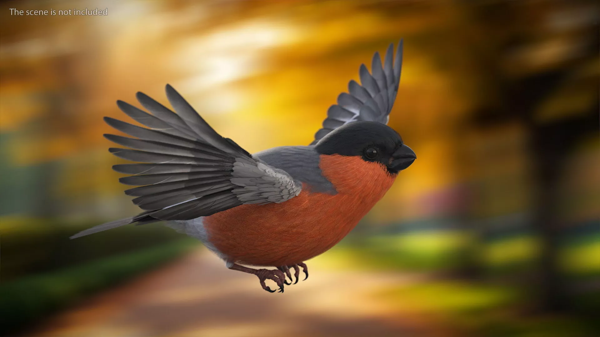 Bullfinch Male Bird Rigged for Cinema 4D 3D model