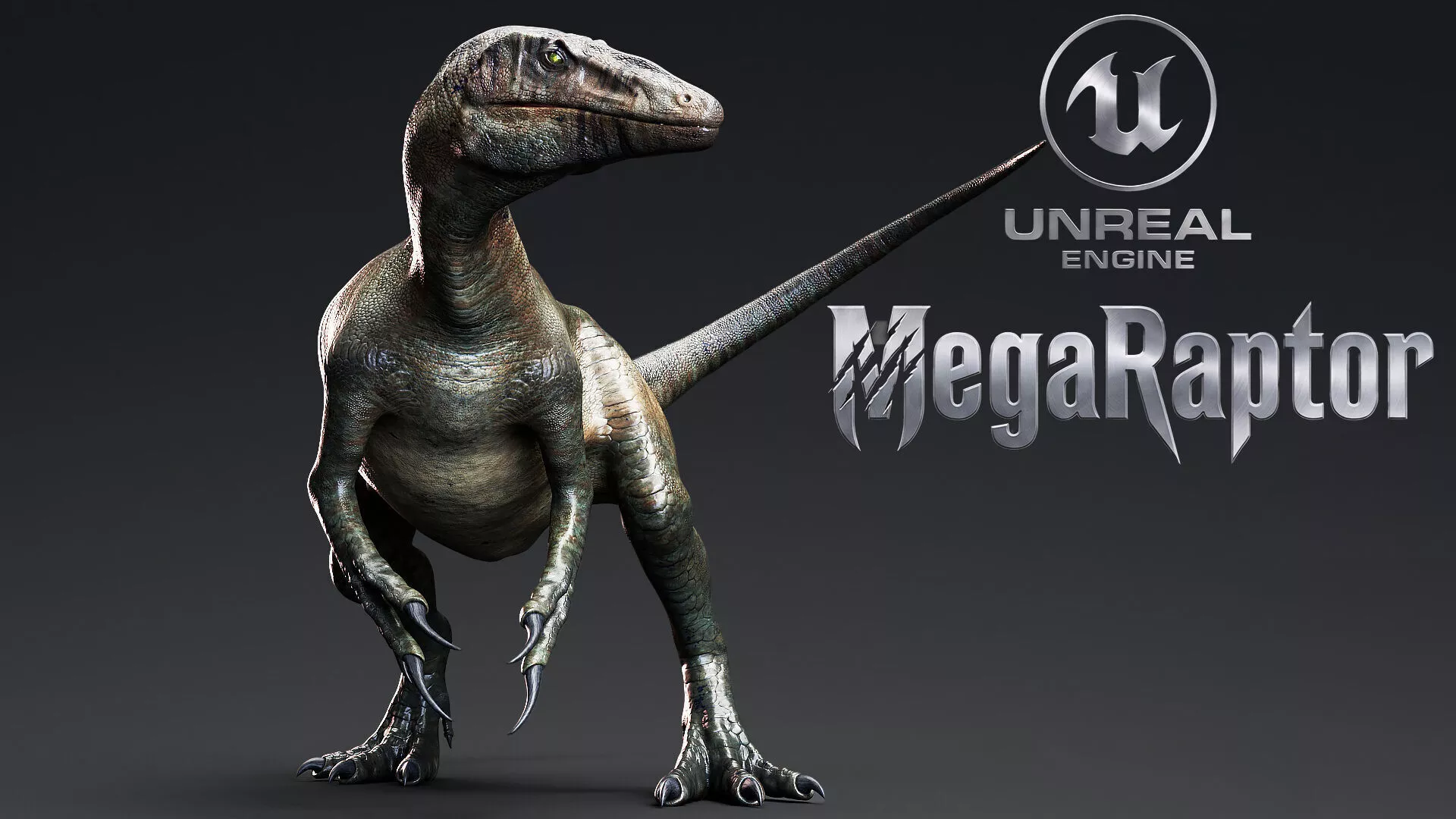 Raptor Dinosaur - MegaRaptor Unreal Engine Project Low-poly 3D model