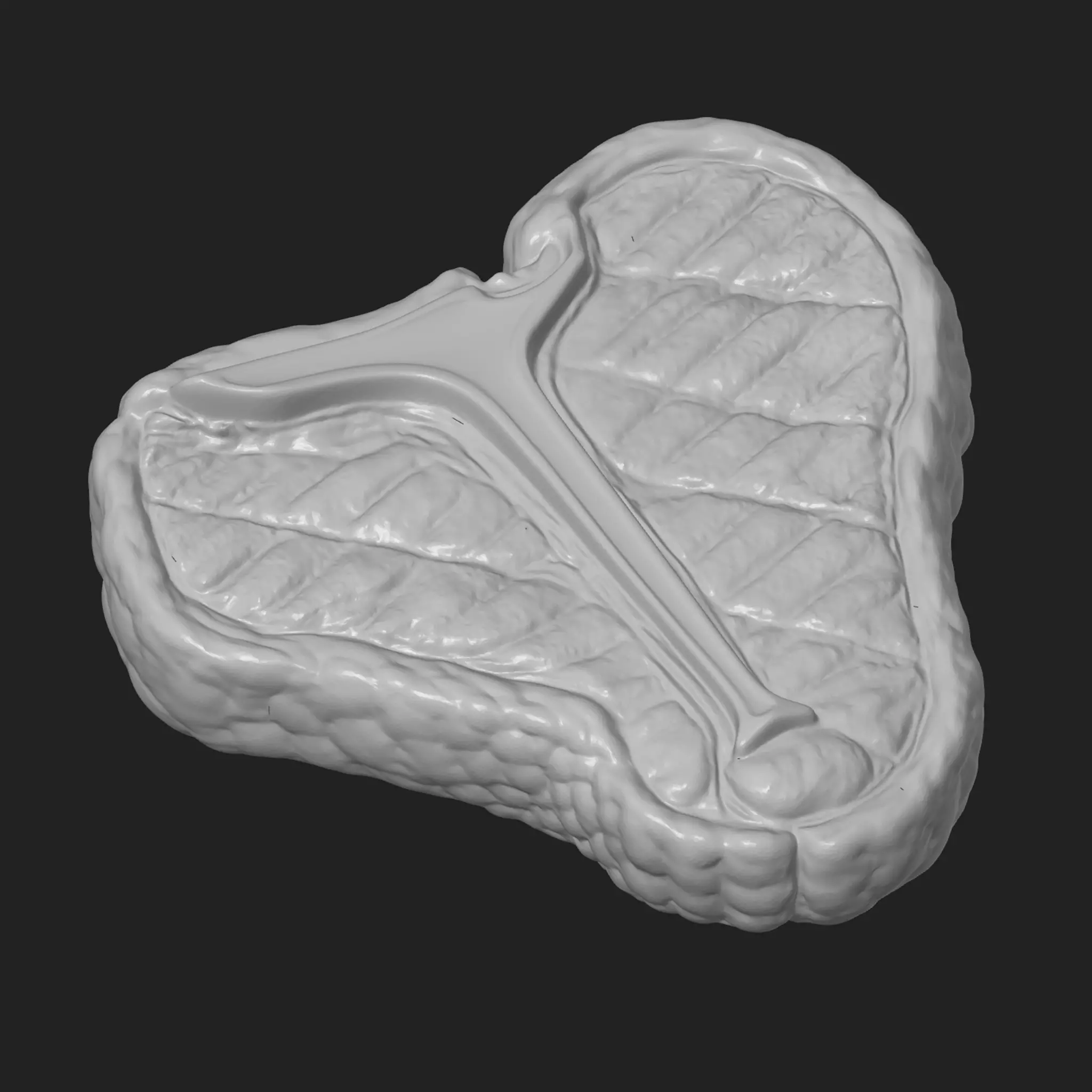Steak 3D print model