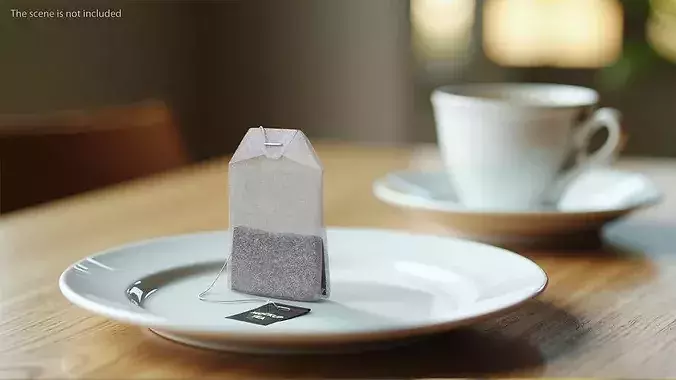 Mockup Classic Tea Bag with String and Label 3D model 2