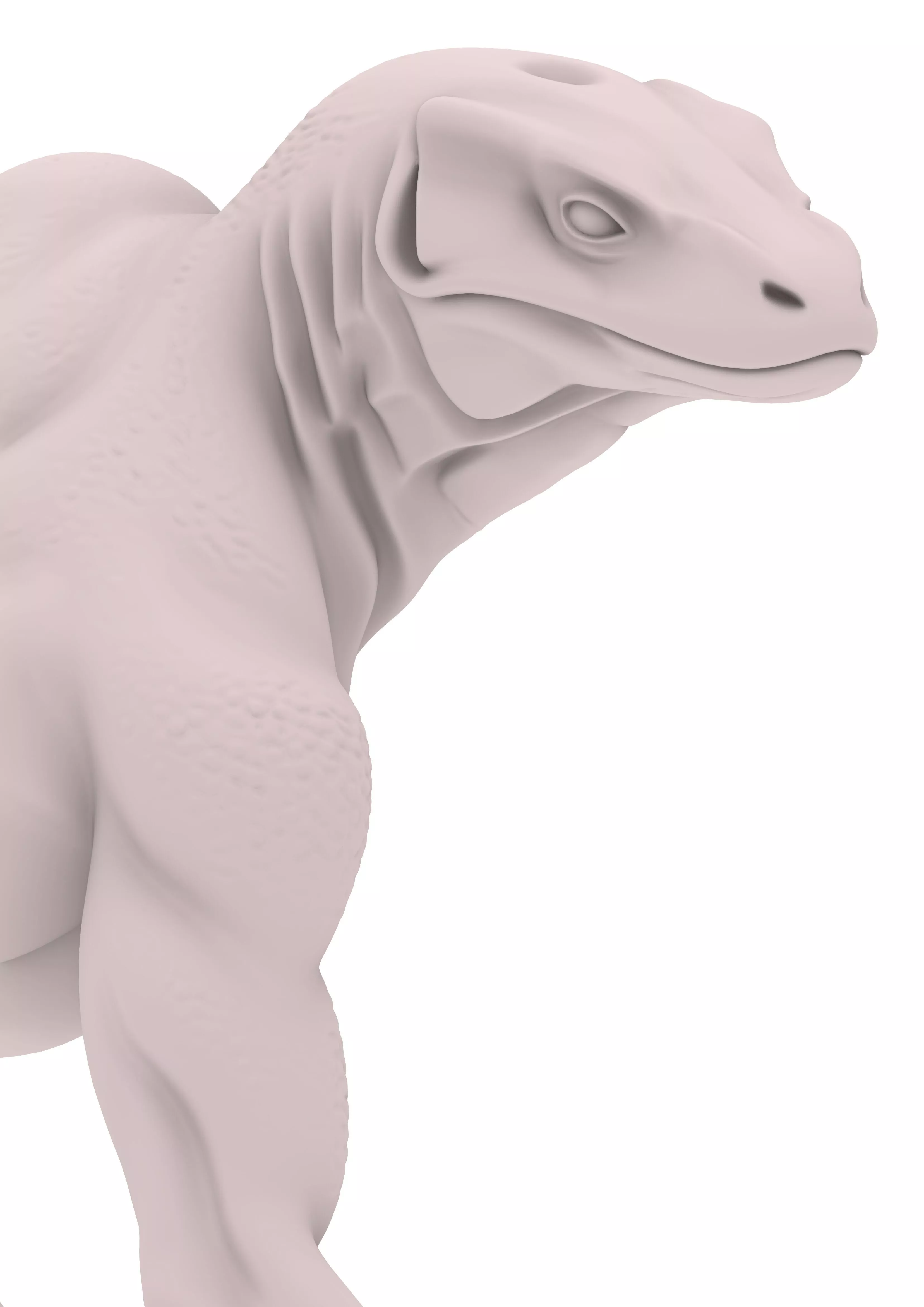 Lizard Echse Lagarto Reptile Reptil 3D print model