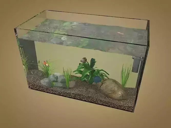 Aquarium fish tank Low-poly 3D model