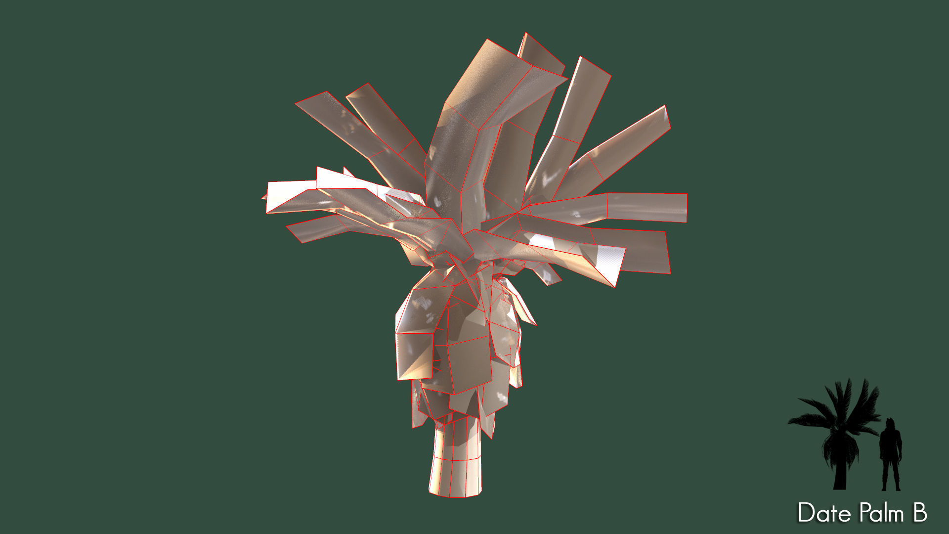 Date Palm Low-poly 3D model_4