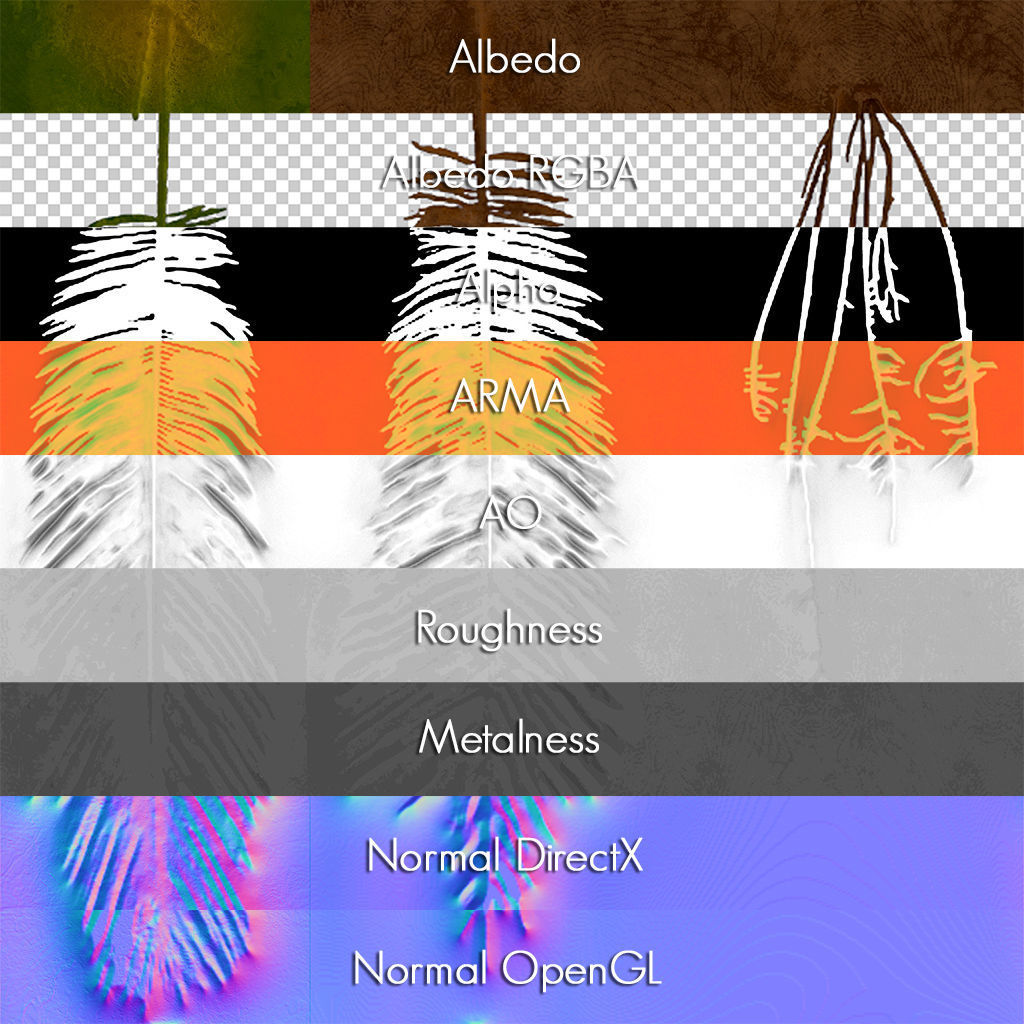 Date Palm Low-poly 3D model_10