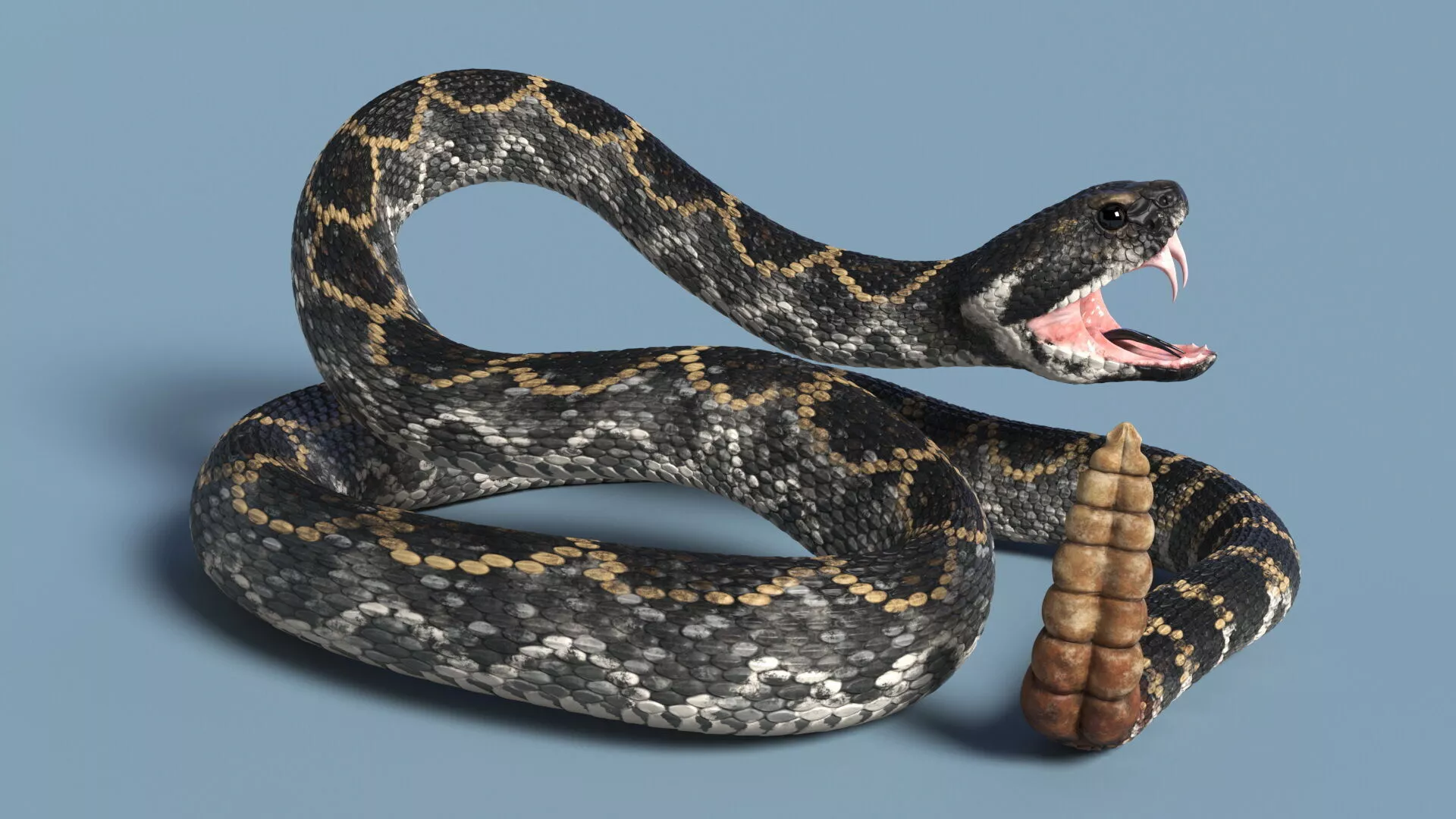 Rattlesnake Dark Rigged for Maya 3D model