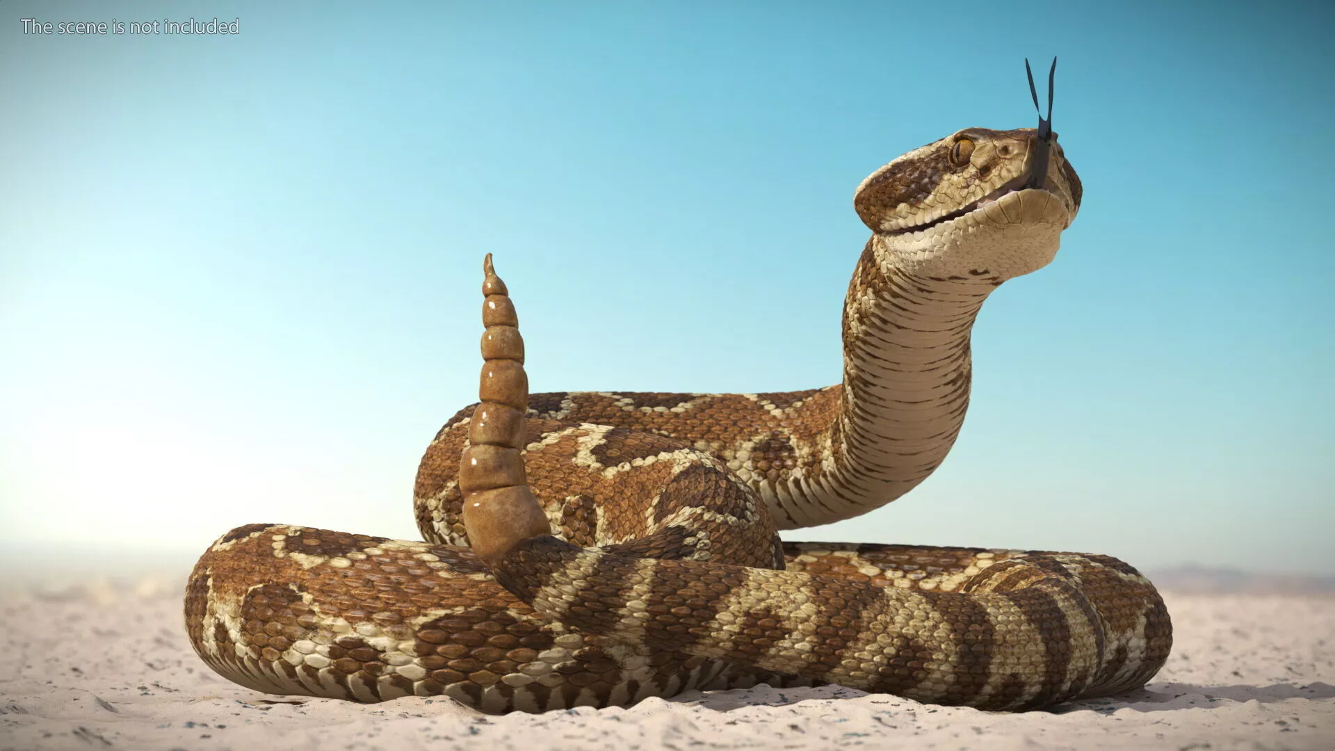 Light Rattlesnake Rigged for Maya 3D model