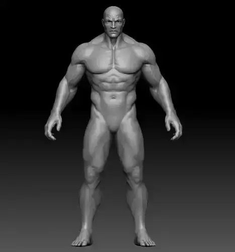 man anatomy zbrush