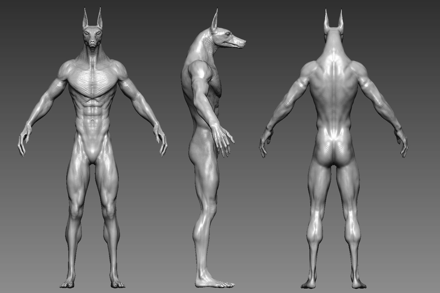 Dog Creature 3D model_4