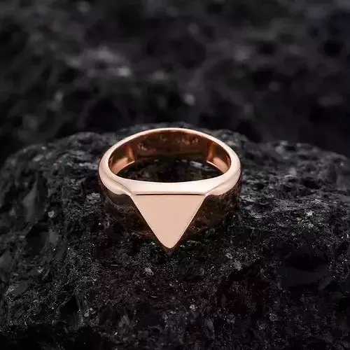 Jewelry Signet Ring v24 S Size