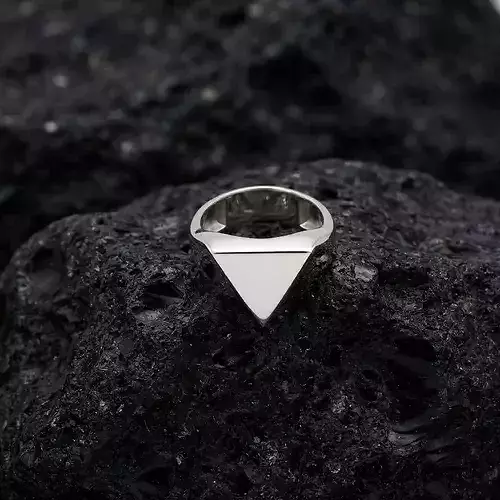 Jewelry Signet Ring v24 M Size