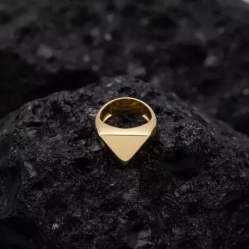 Jewelry Signet Ring v24 L Size
