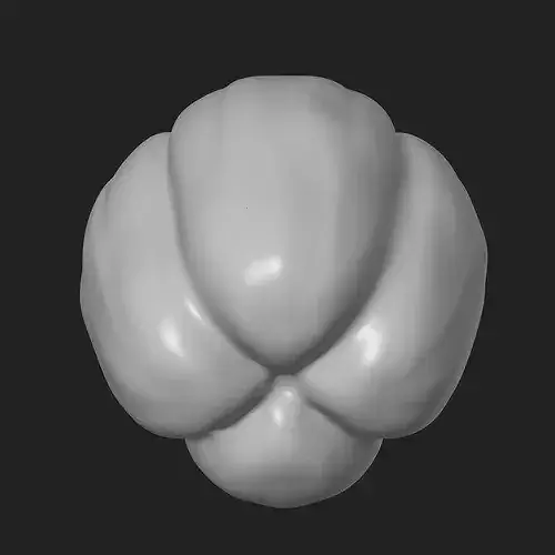 Bell Pepper 3D print model 3
