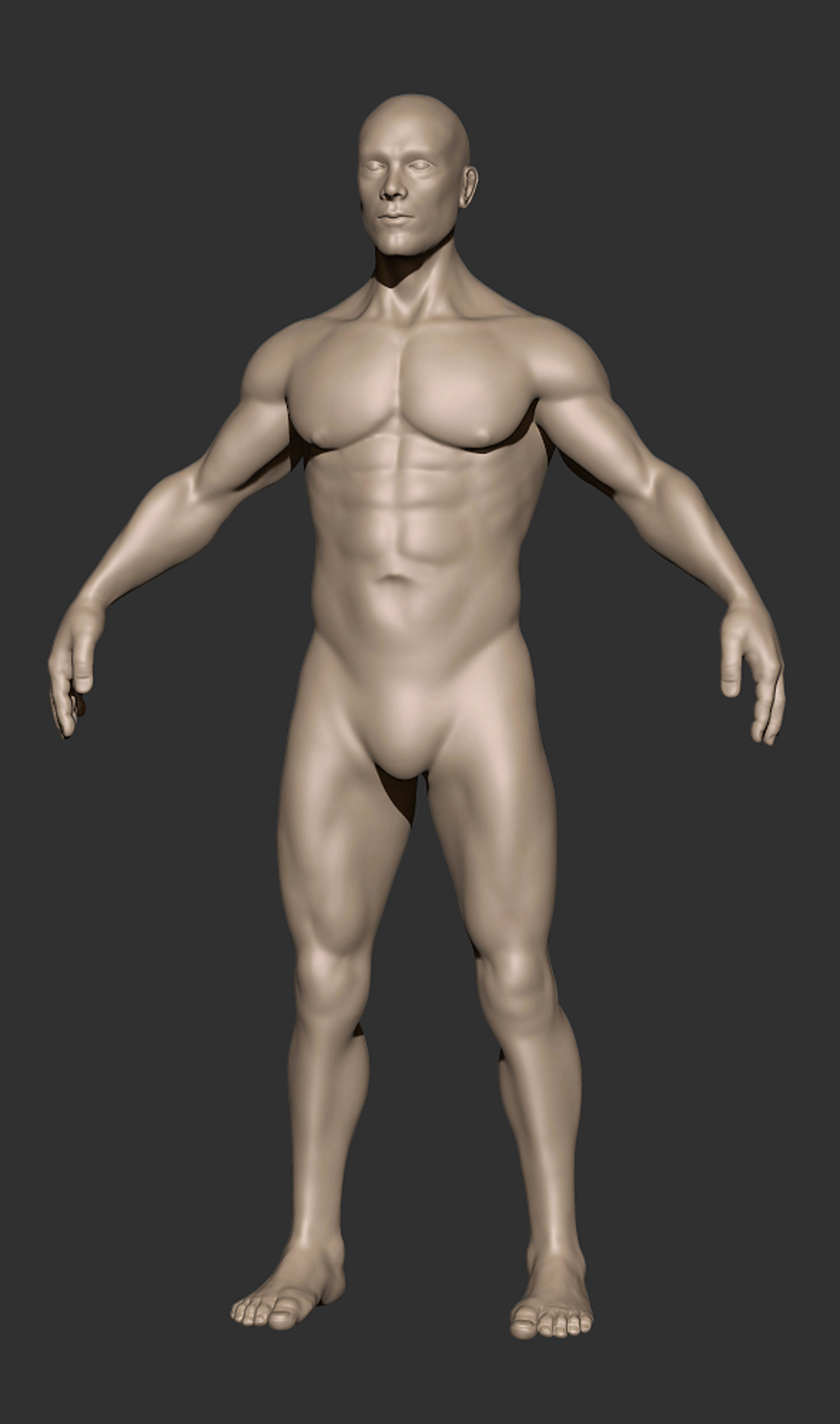 Anatomy Man Printable Free 3D print model_0