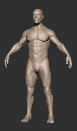 Anatomy Man Printable Free 3D print model