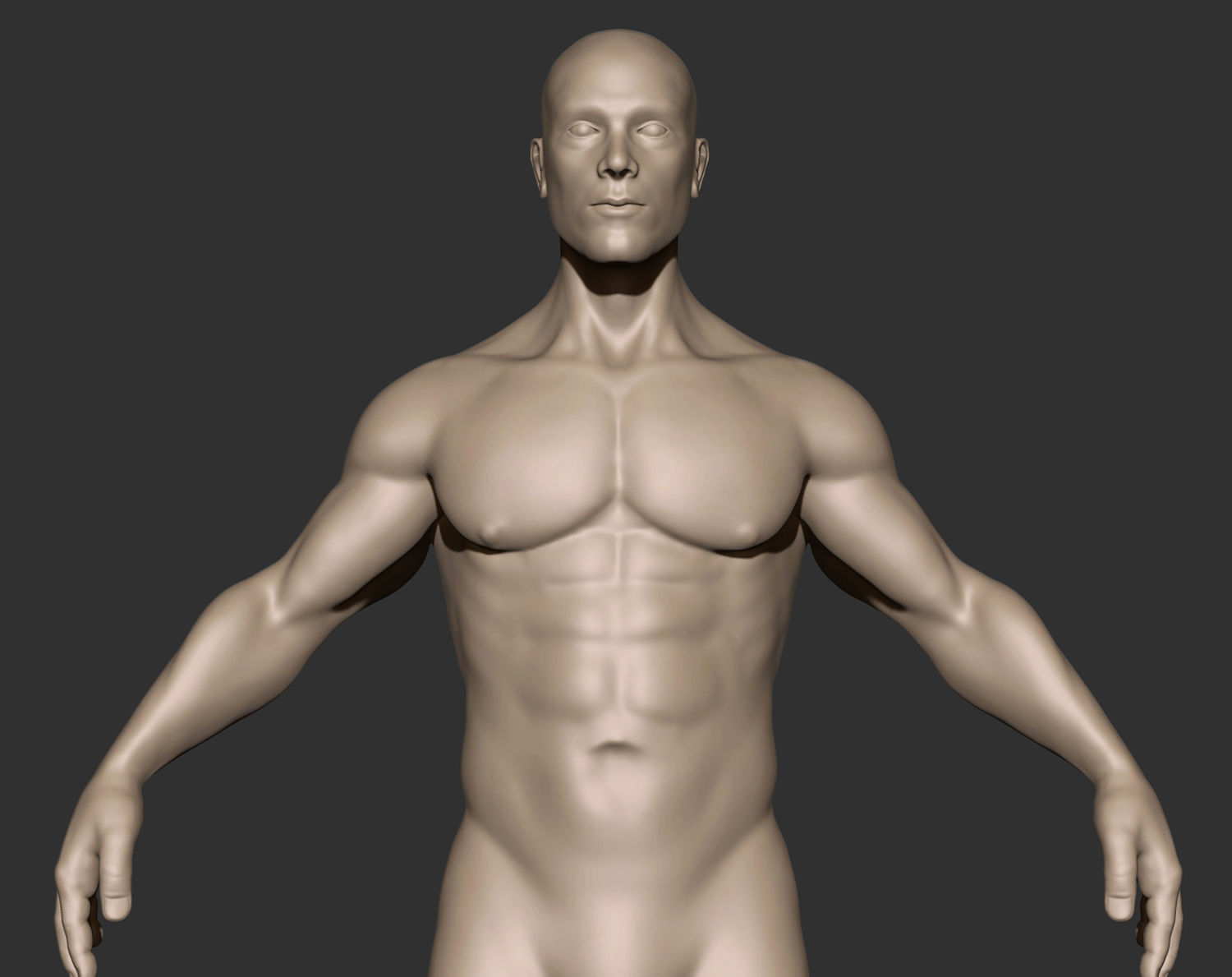 Anatomy Man Printable Free 3D print model_3