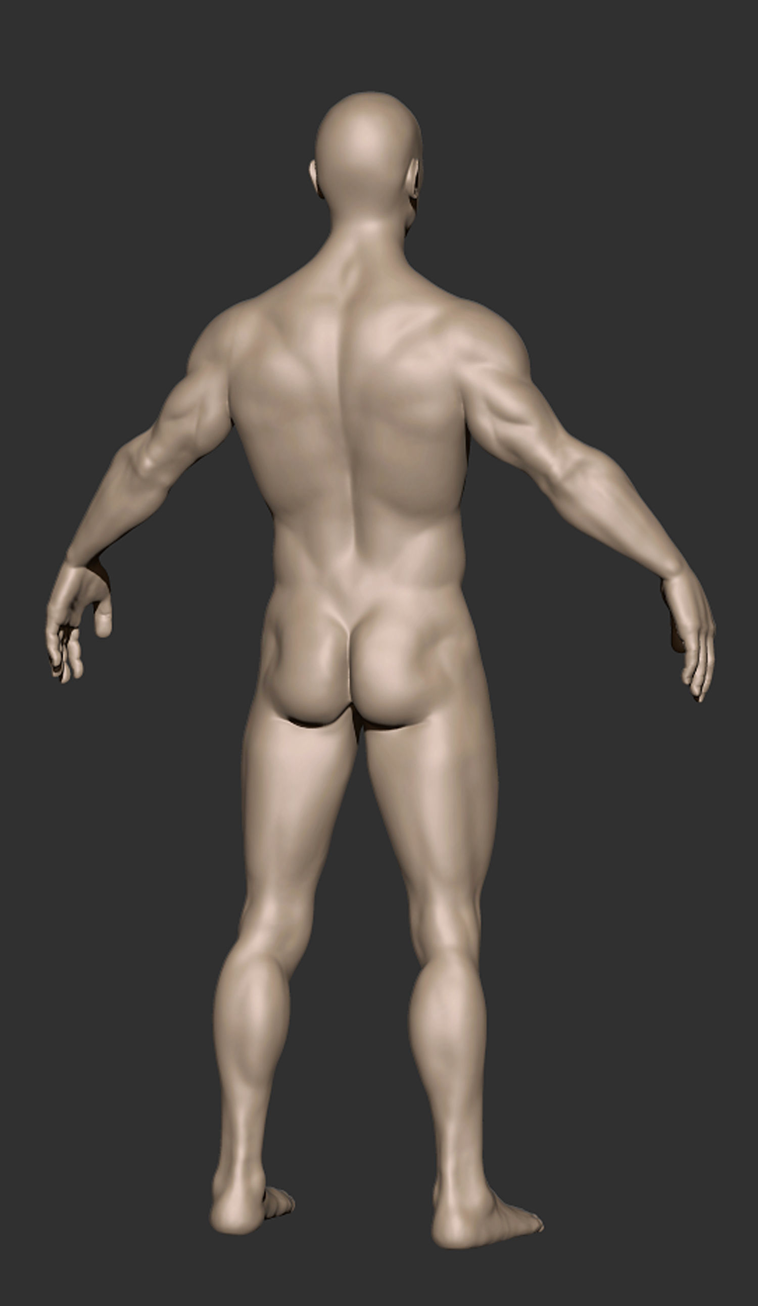 Anatomy Man Printable Free 3D print model_1