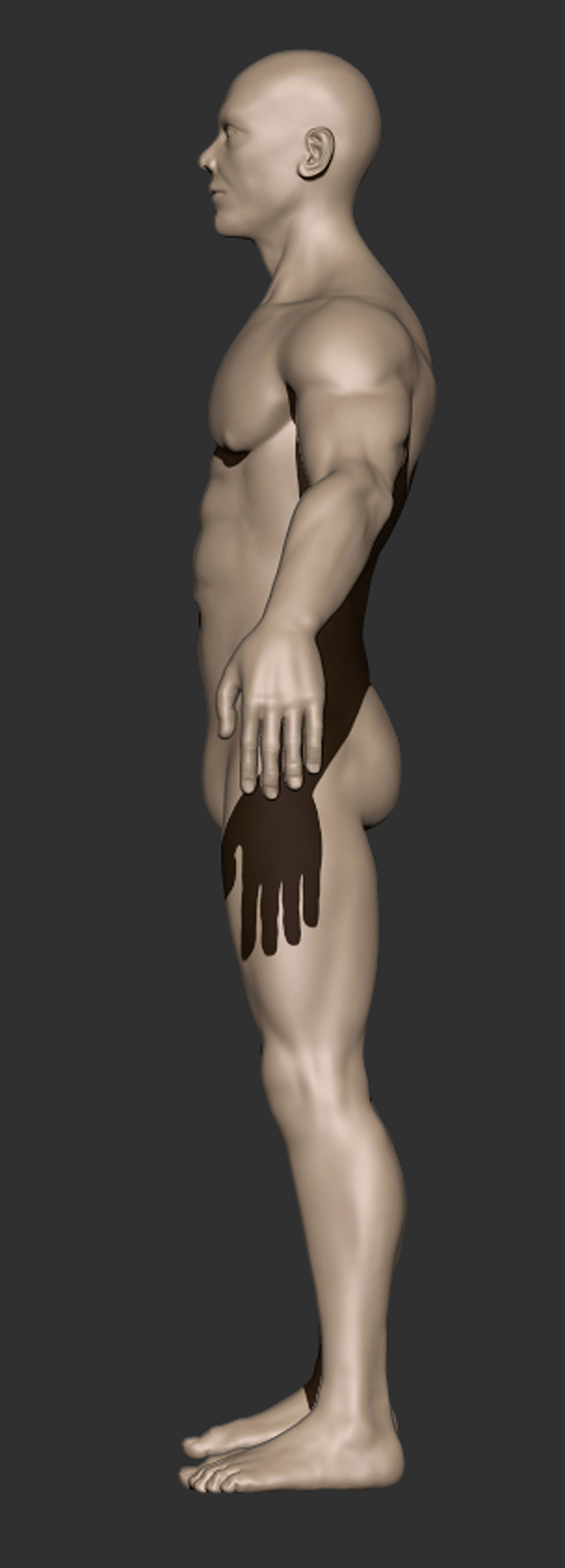 Anatomy Man Printable Free 3D print model_2