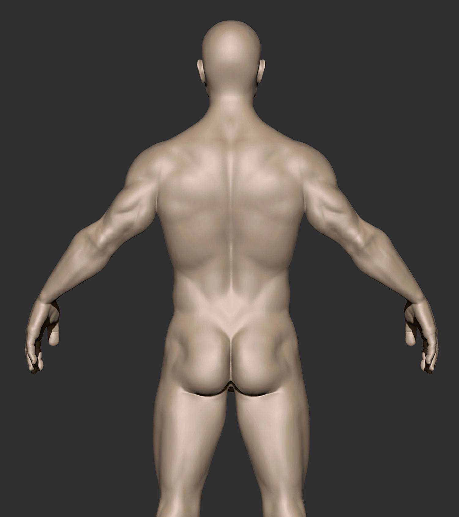 Anatomy Man Printable Free 3D print model_4