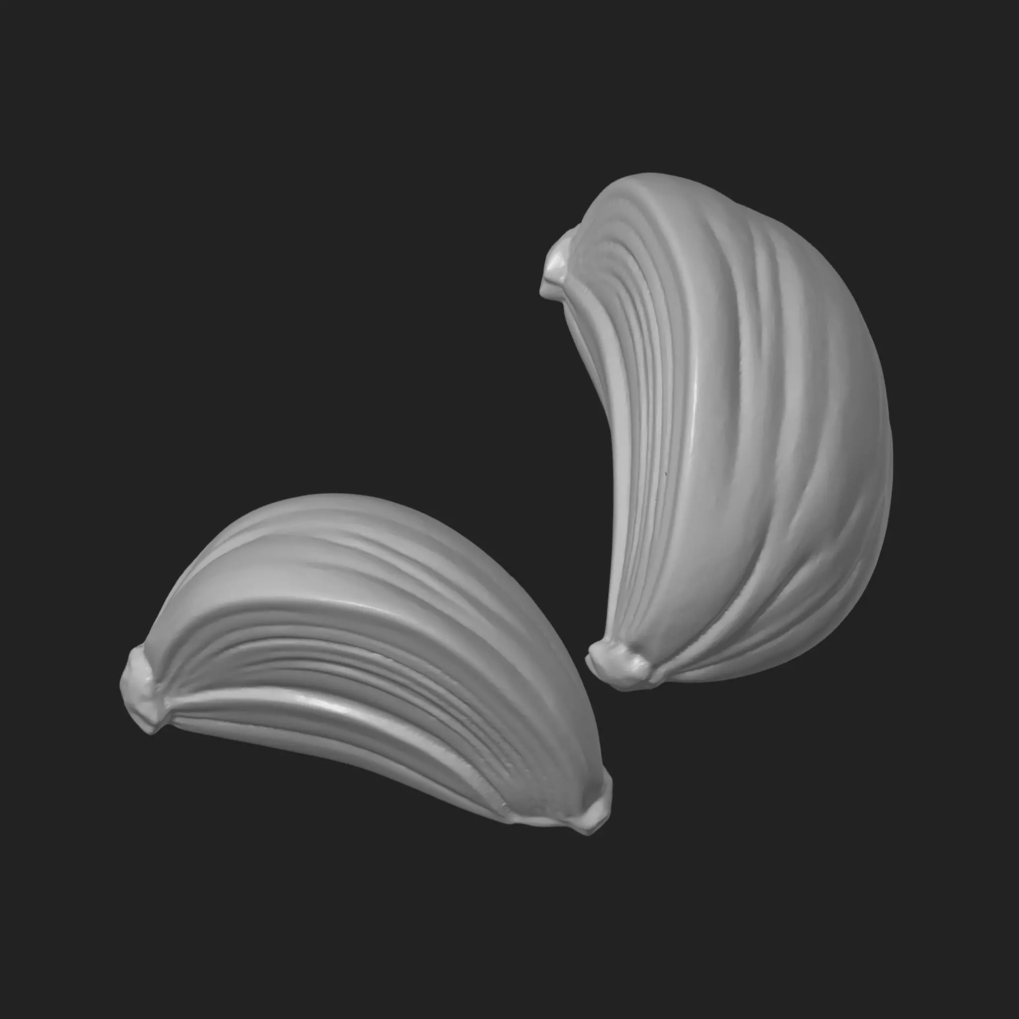 Onion Chunks 3D print model