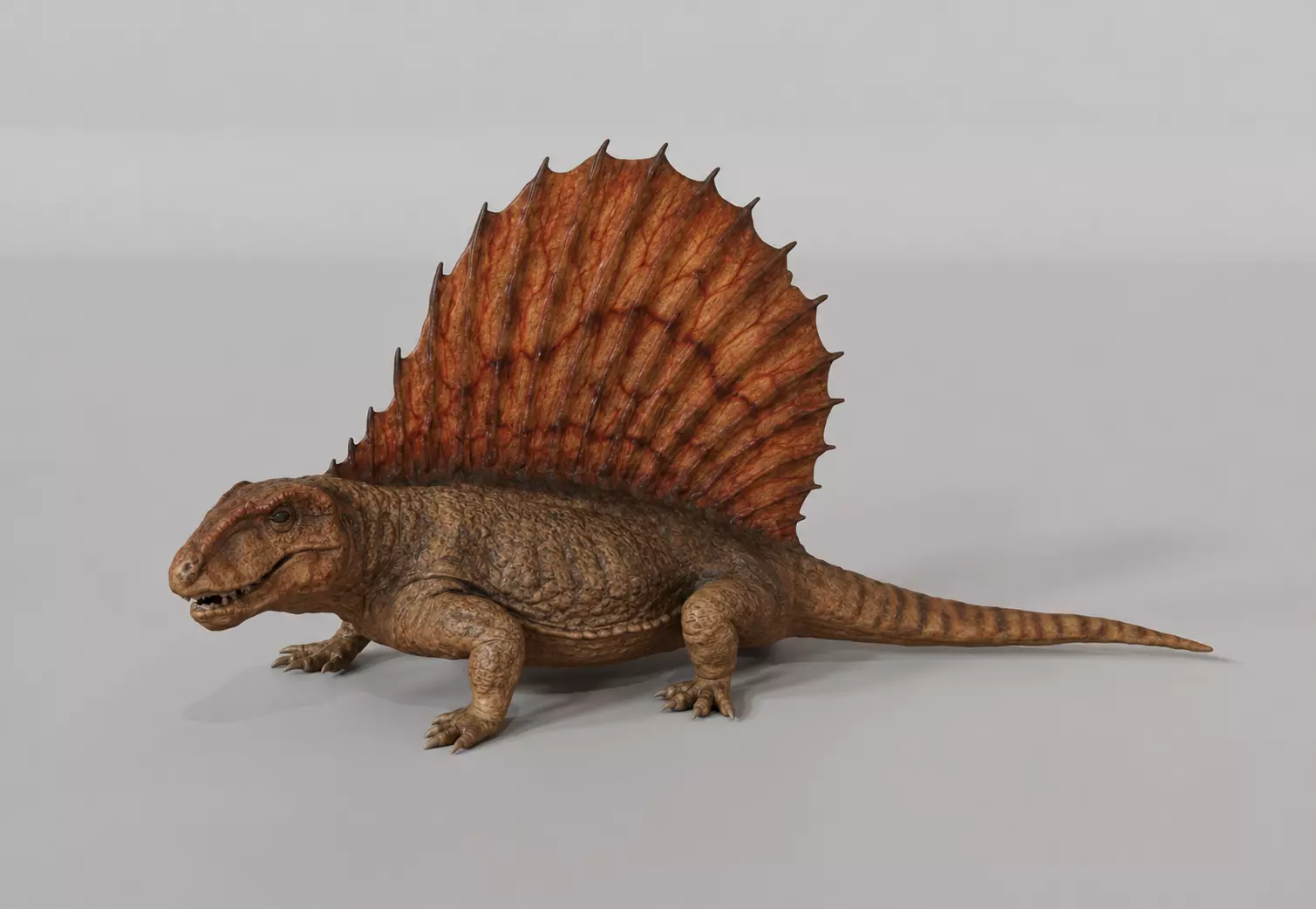 Dimetrodon 3D print model