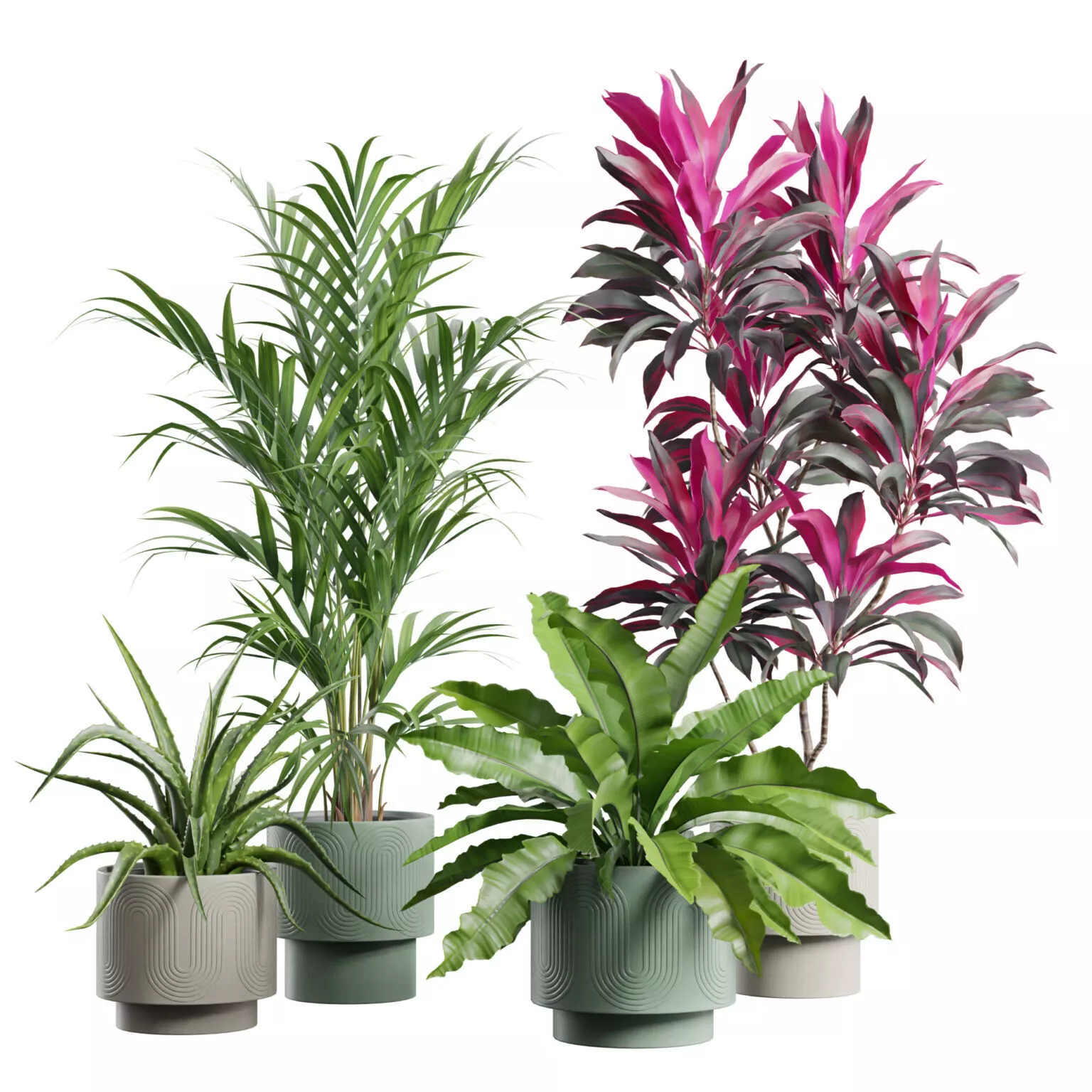 Indoor Plants Pack 114 3D model