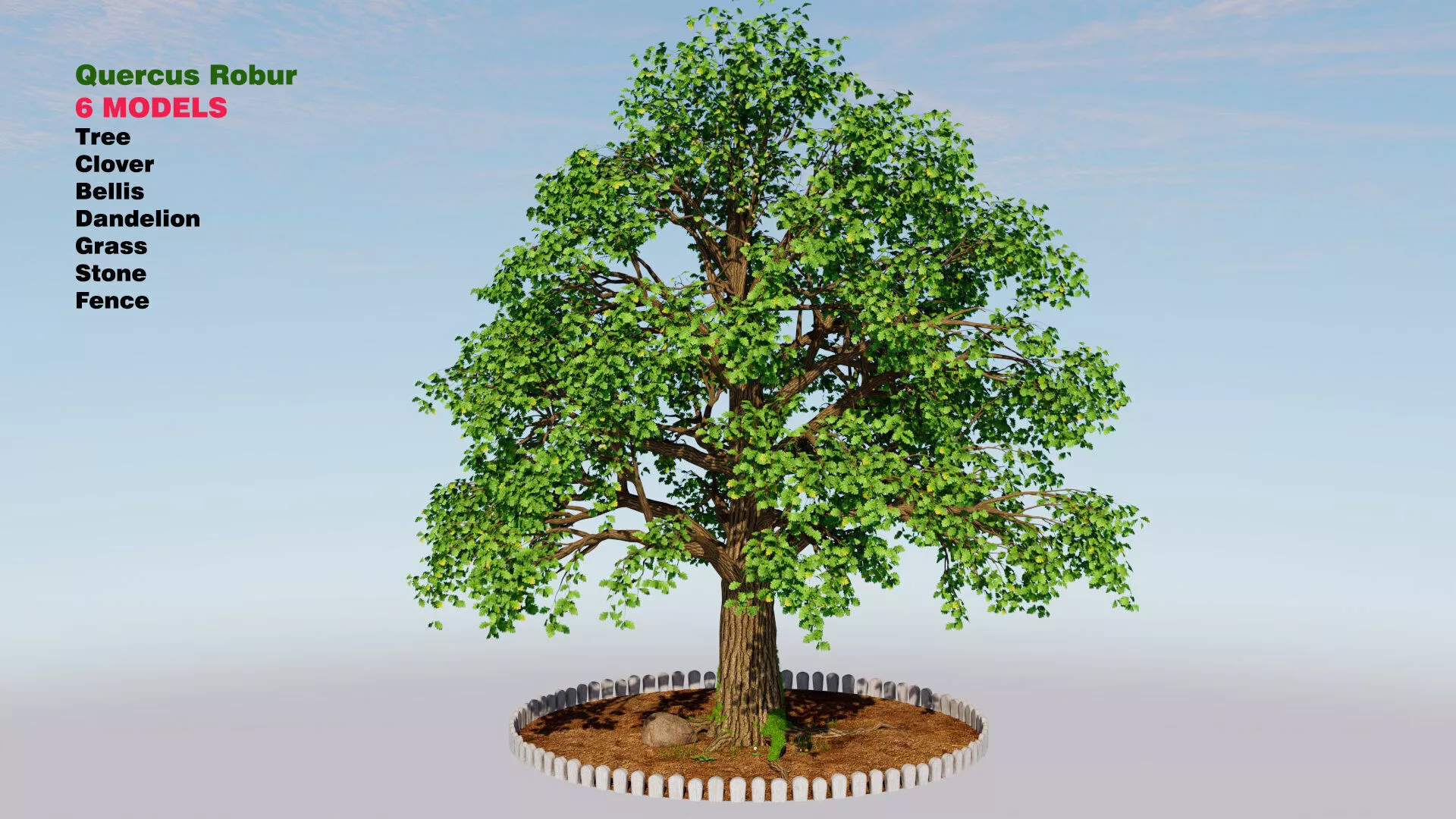 Quercus robur Low-poly 3D model