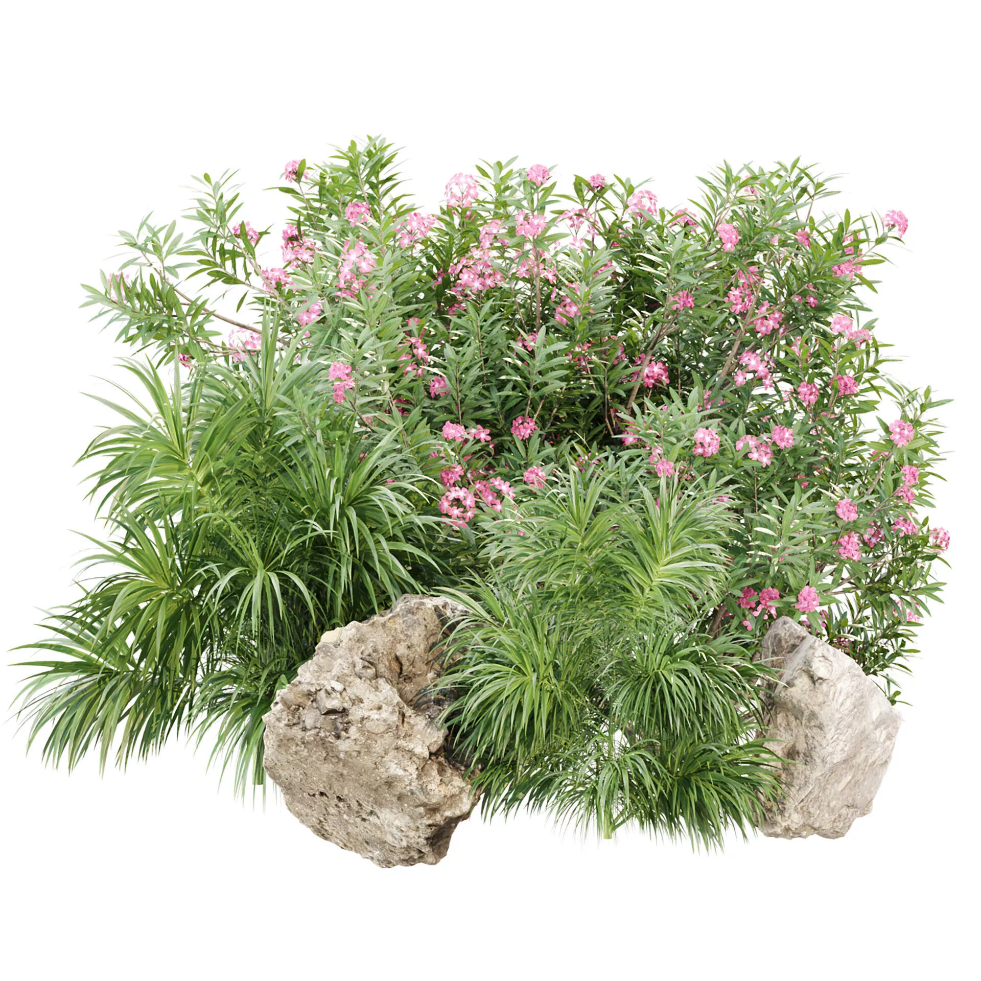Outdoor Plants for Garden Set 515 3D Plant Model 3D model