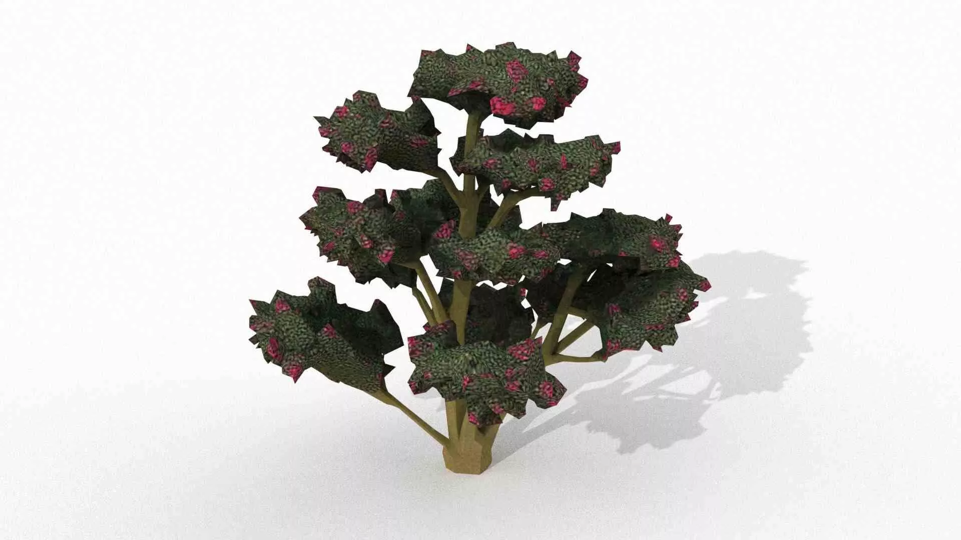 Topiary Camellia japonica Low-poly 3D model