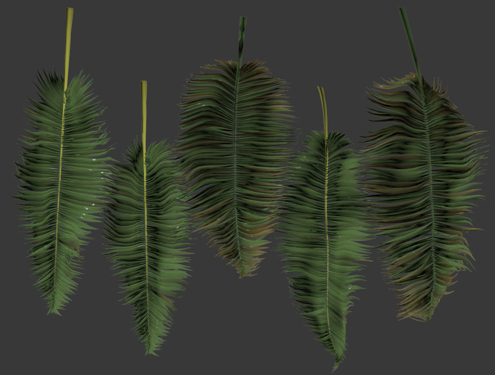 Palm trees Tropical 3D model_13