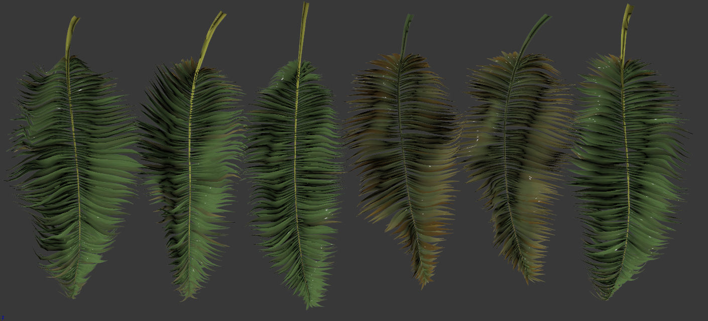 Palm trees Tropical 3D model_14