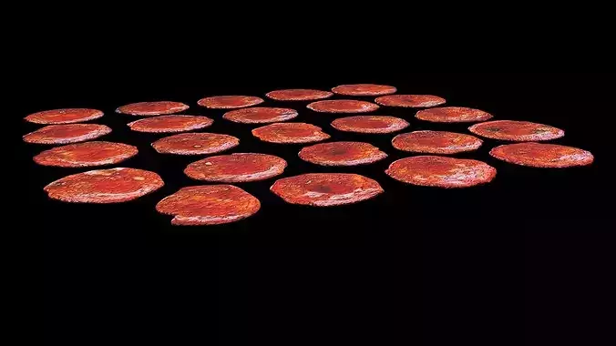 Sliced Mini Pepperonis Set 3D model 7
