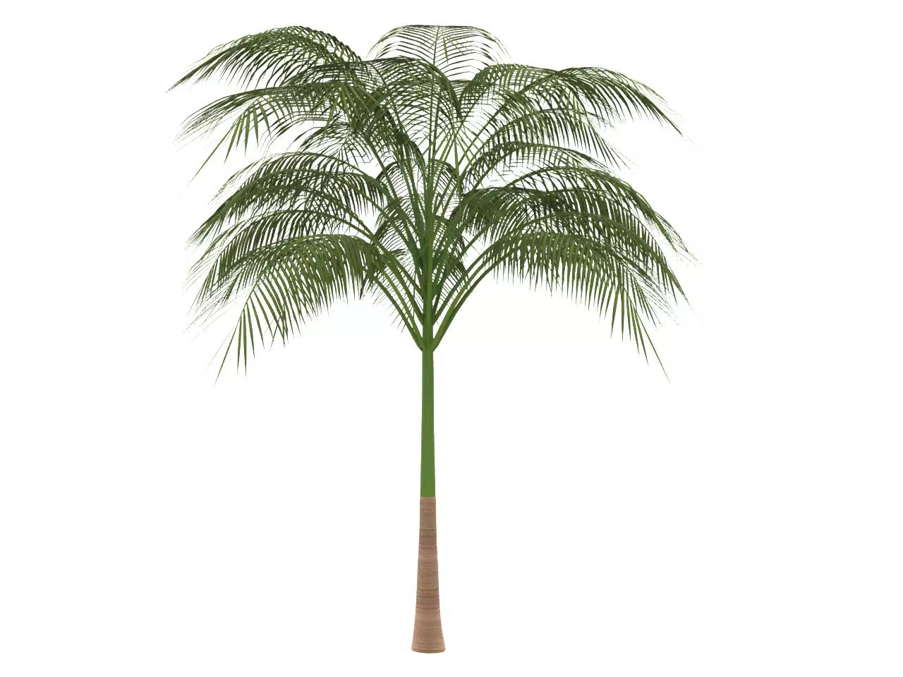 NMA Tree 002-2 Low-poly 3D model