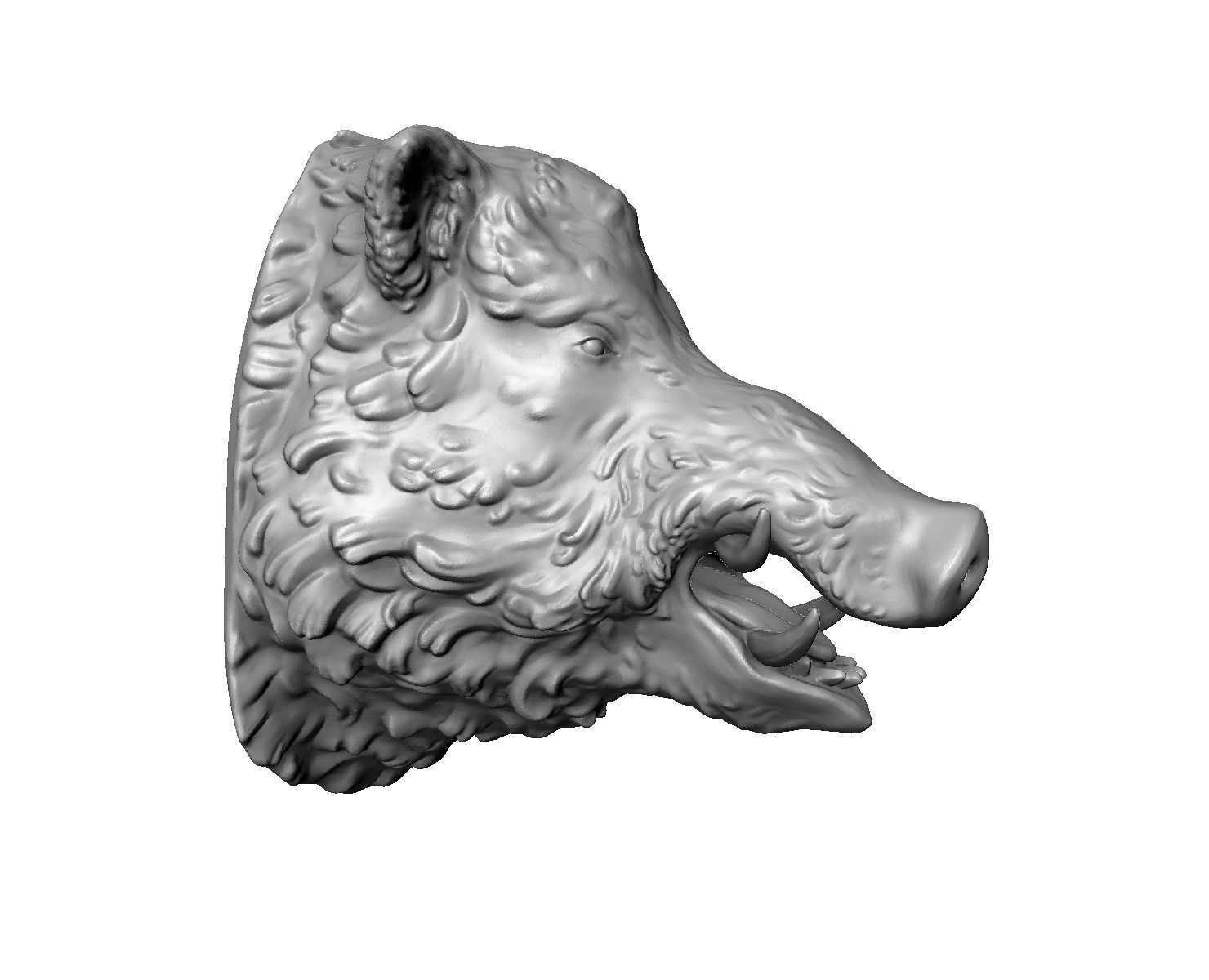 Boars head 3D print model_14
