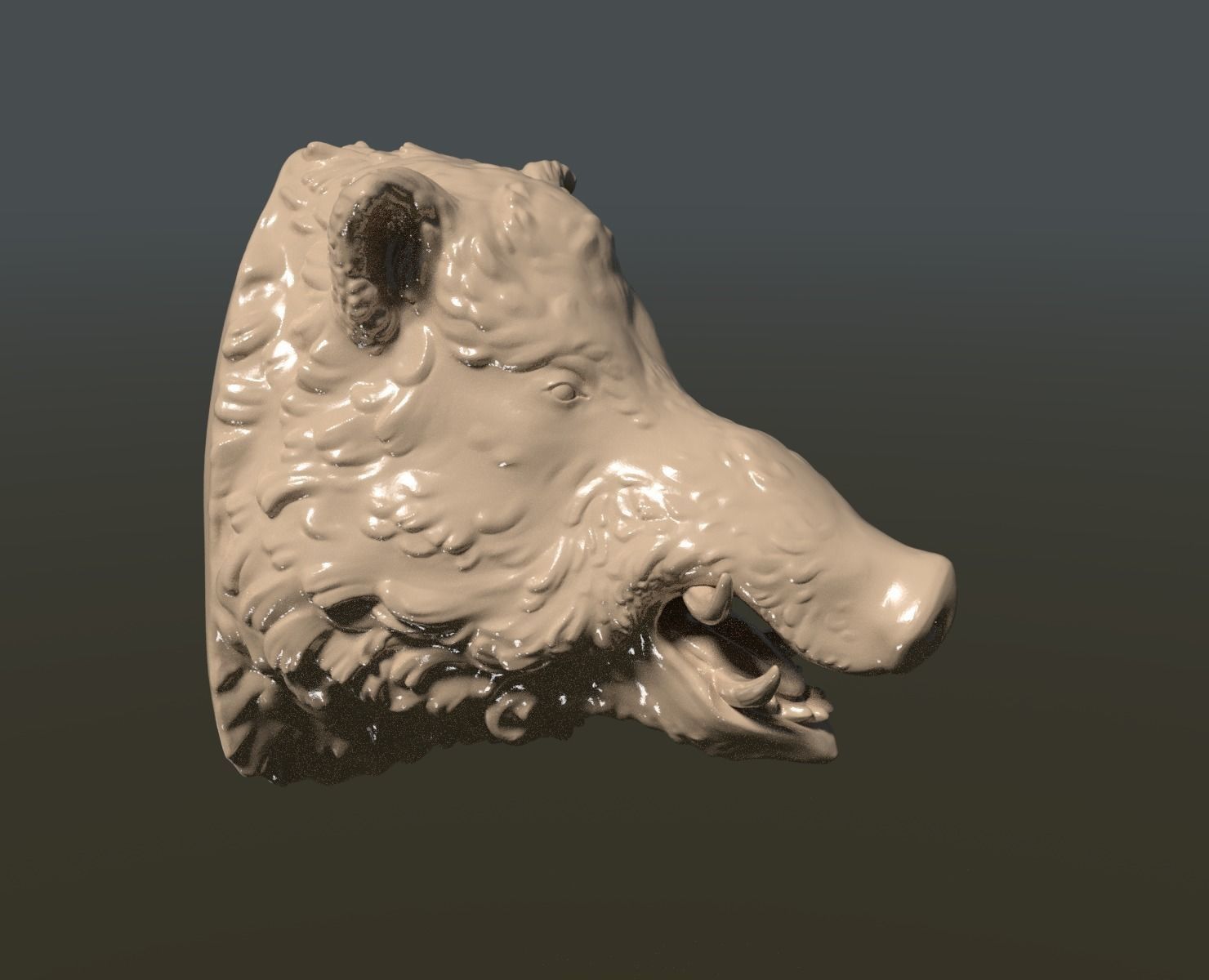 Boars head 3D print model_0
