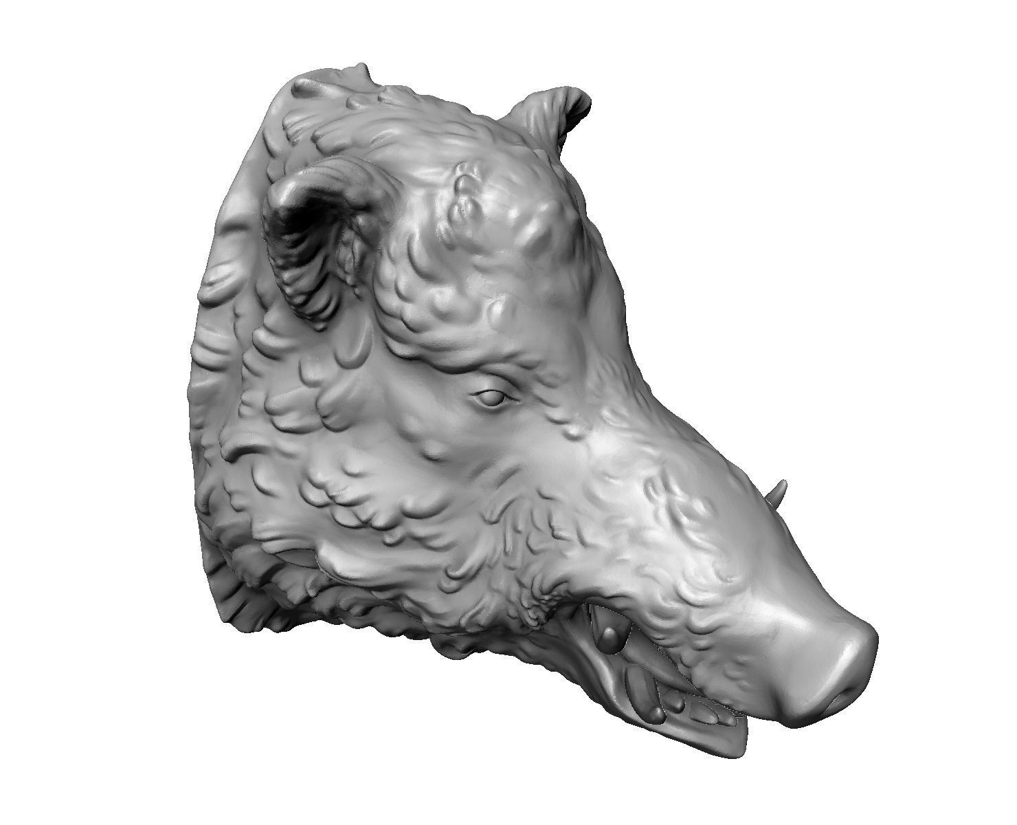Boars head 3D print model_15