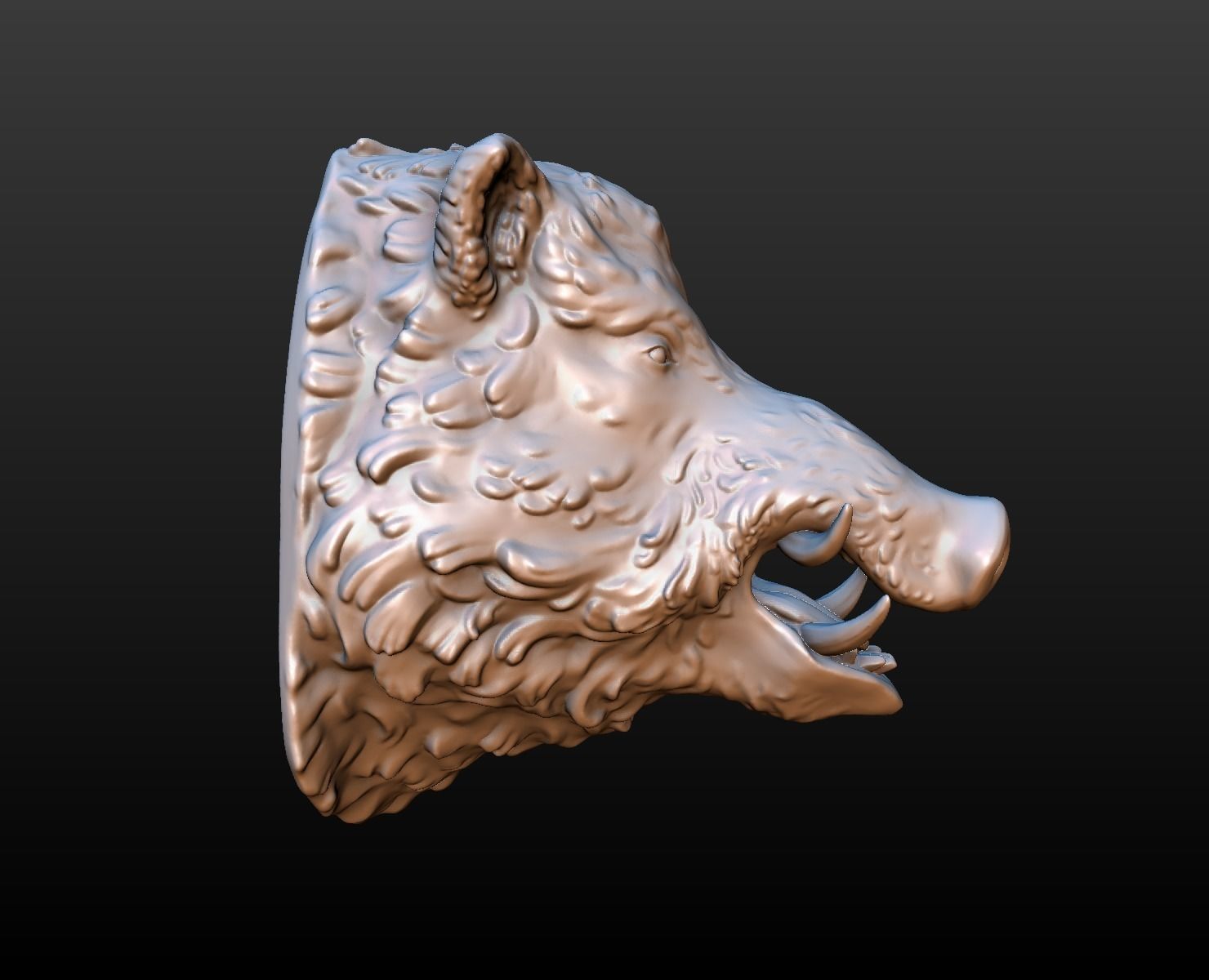 Boars head 3D print model_8