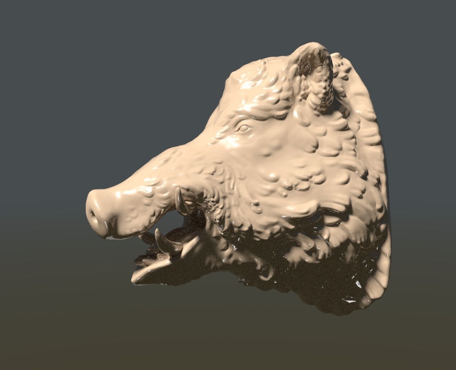 Boars head 3D print model_1