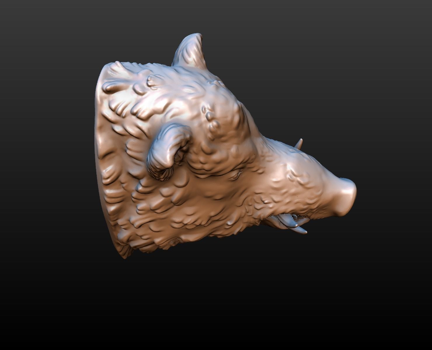 Boars head 3D print model_9