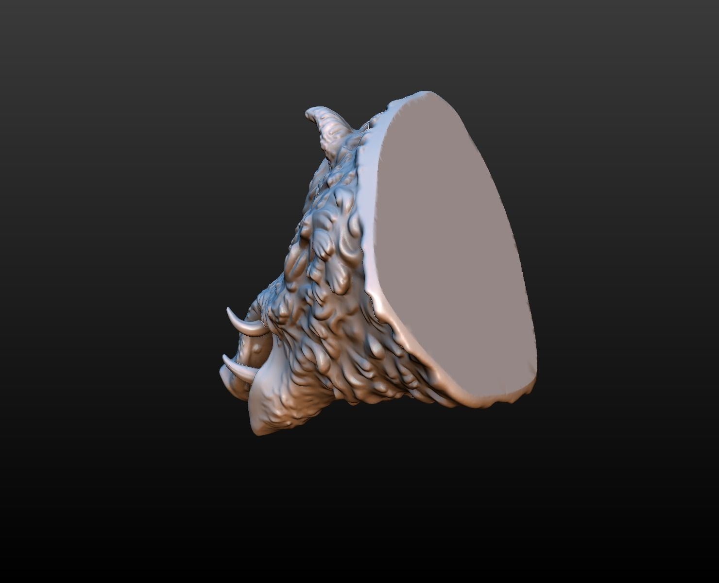 Boars head 3D print model_13