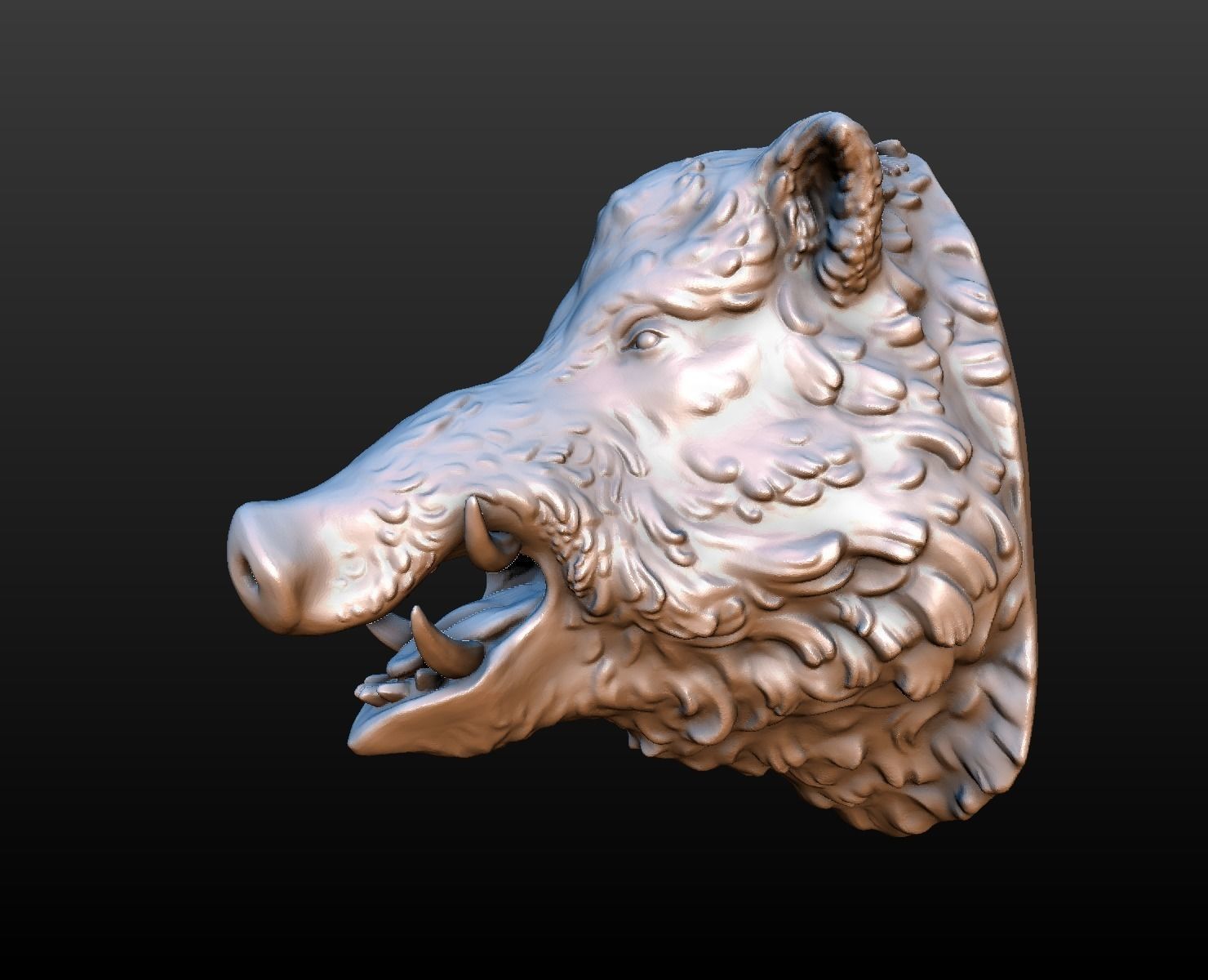 Boars head 3D print model_4