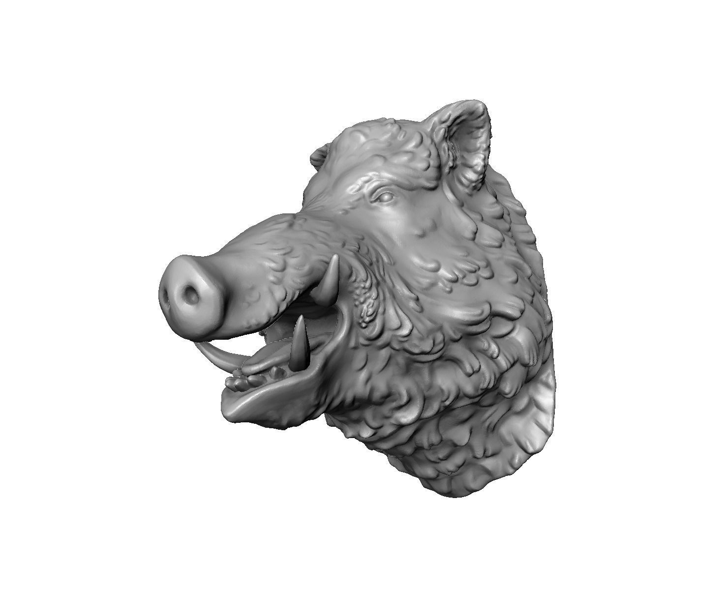 Boars head 3D print model_16