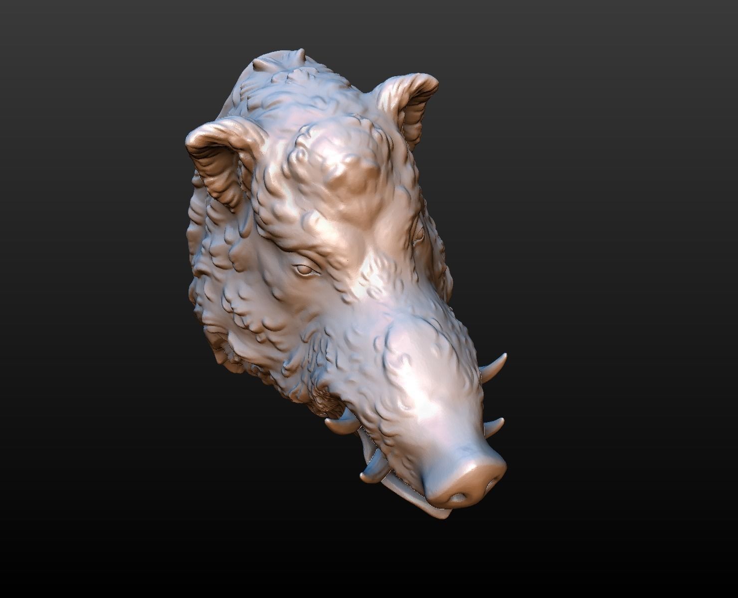 Boars head 3D print model_7