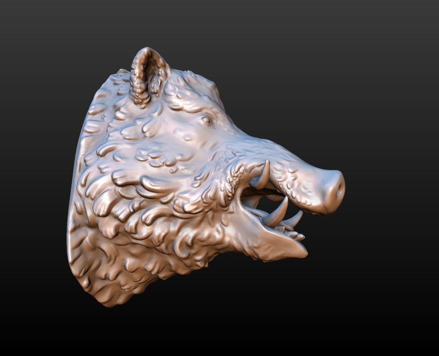 Boars head 3D print model_5