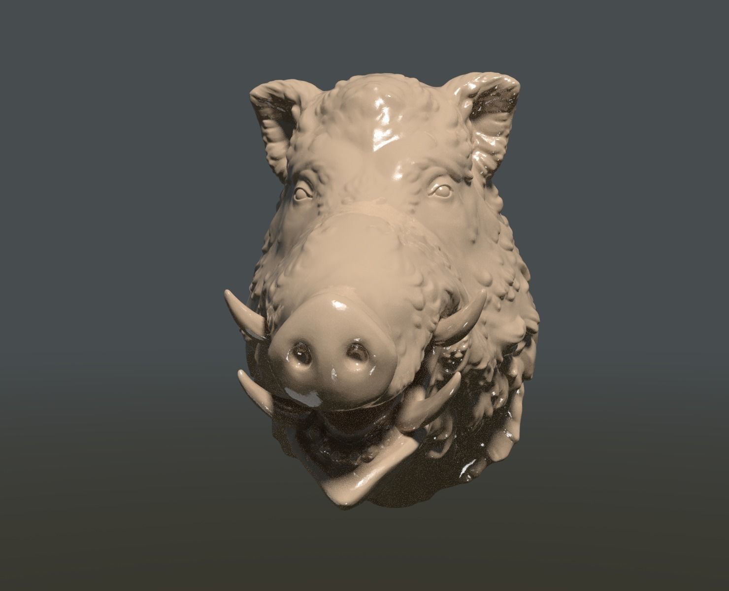 Boars head 3D print model_2
